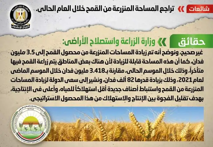 رئاسة مجلس الوزراء تنفي شائعة تراجع المساحة المنزرعة من القمح خلال العام الحالي