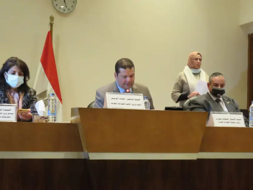 وزير المالية: ندرس ربط منصة «نافذة» المصرية.. بالمنظومات السعودية والإماراتية