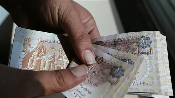الاقتصاد المصري يواصل النمو ويدعم استقرار سعر صرف الجنيه
