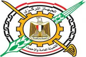 «المركزي للإحصاء»: الاستثمارات الصينية في مصر بلغت 485.2 مليون دولار
