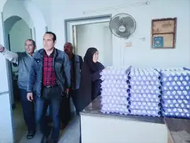 الزراعة توفر البيض للمواطنيين في جنوب سيناء بالسعر المدعم