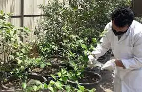 الزراعة المصرية تصدر تقرير عن نشاط معهد الأراضي والمياه والبيئة