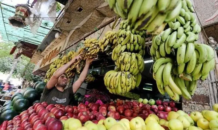 النجيب: انخفاض متوقع لأسعار الخضروات والفاكهة فى الأسواق