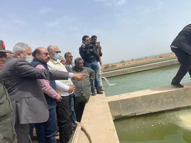 مصر :  رفع كفائة مفرخ «جرف حسين» السمكي بأسوان لـ60 مليون زريعة سنويا