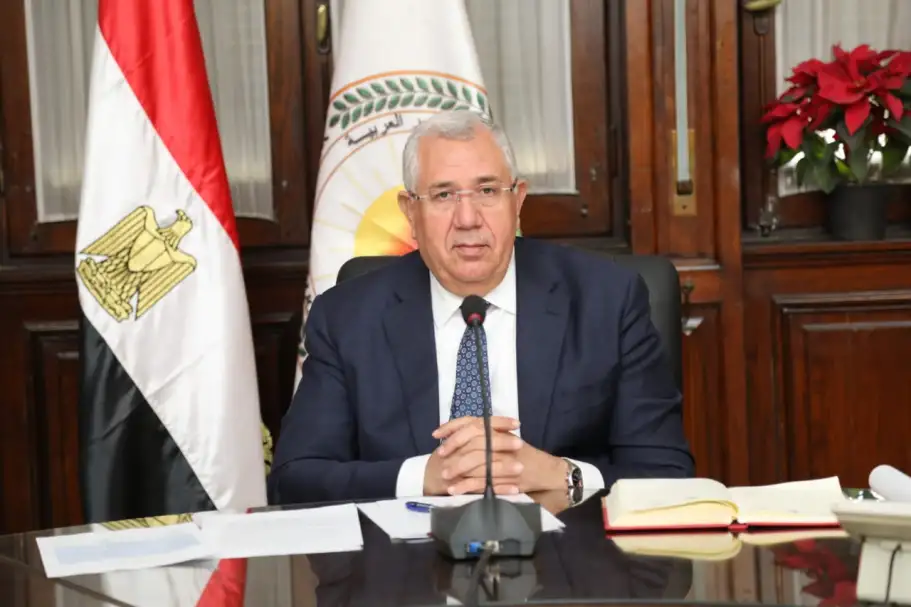 الزراعة نستعرض أهم الأرقام حول محصول القمح...تعرف عليها