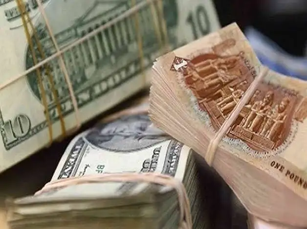 تعرف على سعر الدولار واليورو اليوم فى البنوك المصرية