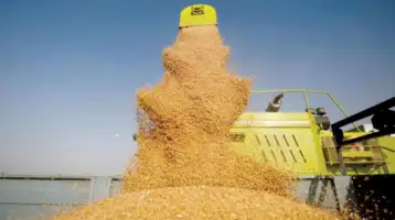 المنظمات الدولية تحذّر من تبعات حرب أوكرانيا على الاقتصاد العالمي