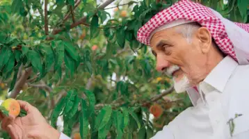 السعودية تدرس تأثير عدد من الأنشطة الرئيسية على المنافسة