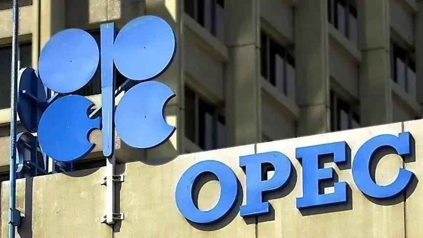 تراجع سعر سلة خامات «أوبك» إلى 113.39 دولارا للبرميل