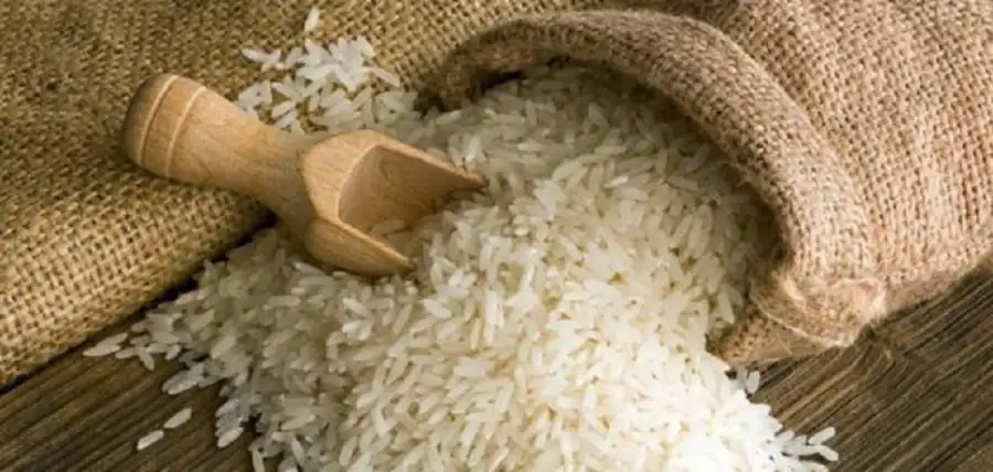 10.9% زيادة في متوسط نصيب الفرد من محصول الأرز عام 2020