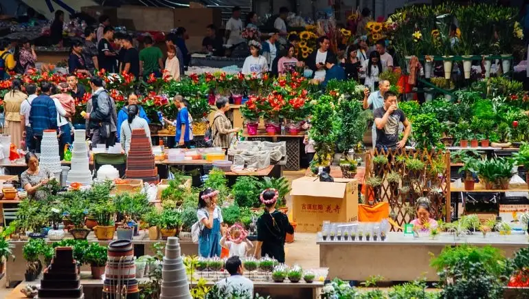 تجارة الصين الخارجية للزهور تتجاوز 700 مليون دولار فى 2021