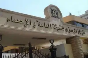 الإحصاء: الزراعة وصيد الأسماك أكبر نشاطين يضمان فرص عمل في مصر
