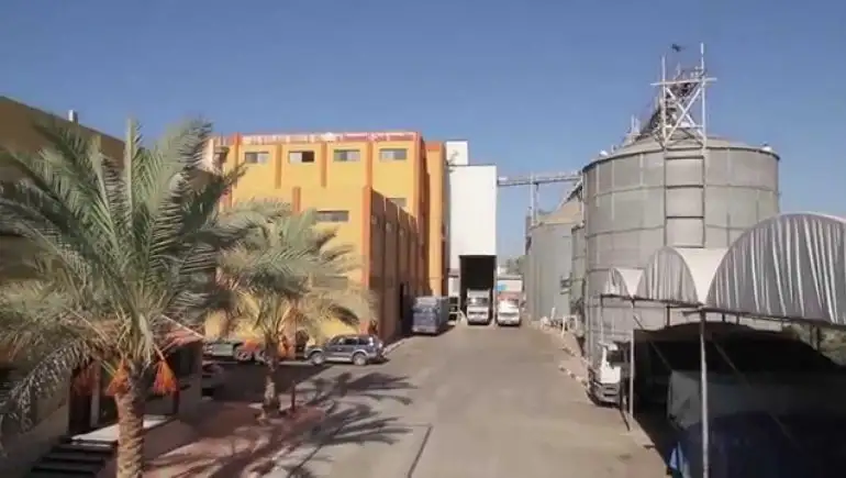 “مطاحن الإسكندرية” تضاعف أرباحها إلى 24.4 مليون جنيه خلال 9 أشهر