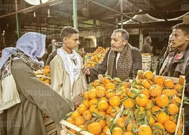 تعرف على أسعار الخضروات والفاكهة في الأسواق المصرية