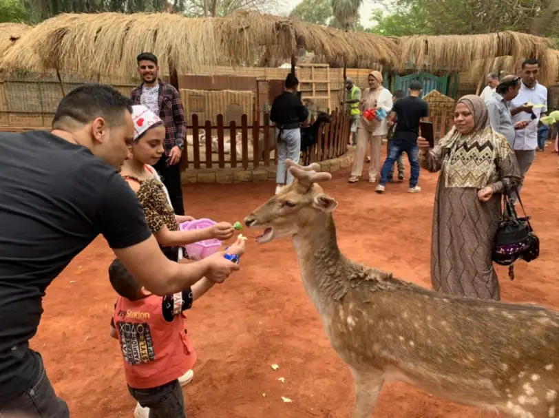 "الزراعة": إقبال كبير على حديقة الحيوان في ثالث أيام عيد الفطر