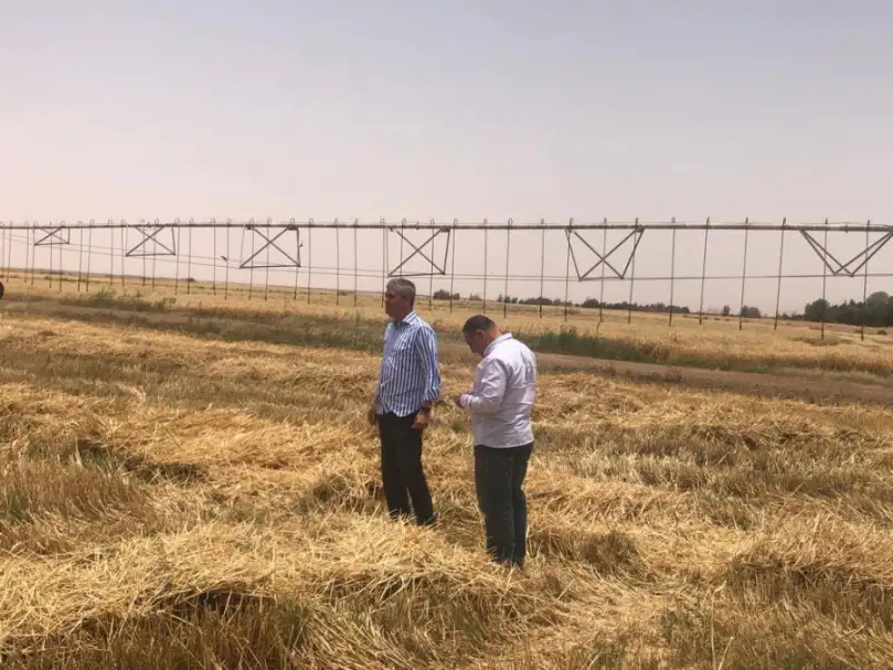 وزير قطاع الأعمال العام يتلقى تقريرا حول تطور أداء شركة جنوب الوادي بتوشكى