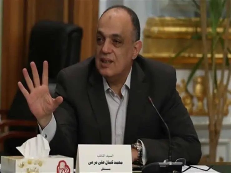 رئيس مشروعات النواب يؤكد على ضرورة التحول من النشاط التجارى إلى الصناعى