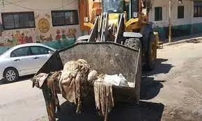 شعراوي: تعليمات مشددة بالتعامل الآمن مع لحوم الأضاحي ومخلفاتها خلال عيد الأضحى