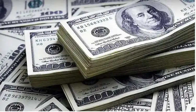 سعر الدولار اليوم الثلاثاء 26-7-2022 في مستهل تعاملات البنوك المصرية