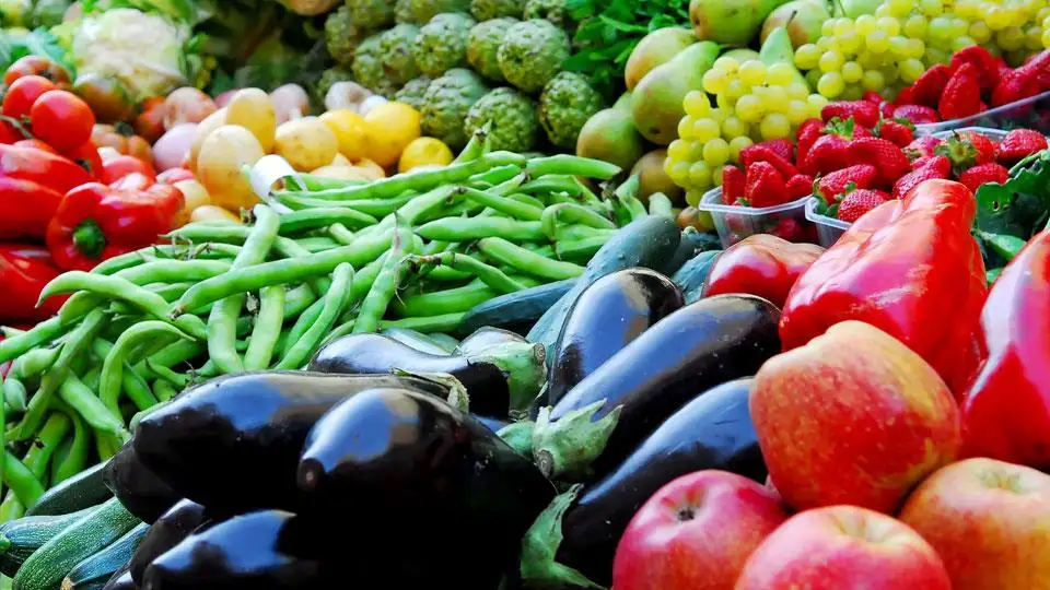 الكوسة تنخفض.. أسعار الخضروات والفاكهة اليوم الأحد 7-8-2022