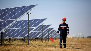 مشرف المبادرة الوطنية للمشروعات الخضراء: قاطرة للاقتصاد الأخضر وتوطين التنمية