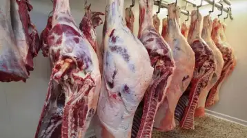 المجمعات الاستهلاكية بالجيزة: ضخ 800 كيلو لحوم سودانية طازجة و3 أطنان أرز يوميا