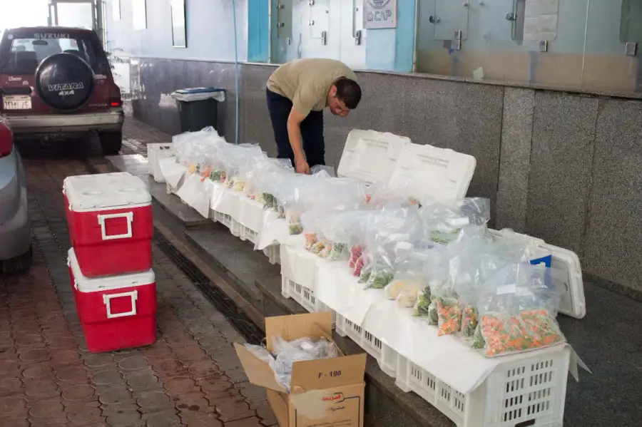 الزراعة: «متبقيات المبيدات» يفحص 800 عينة منتج زراعي خلال 3 أيام