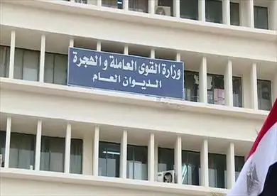 قوى عاملة القليوبية تعلن فرص عمل جديدة في القطاع الخاص