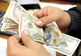 شعبة المستوردين: تحرير سعر الدولار سيكون له أثر إيجابي على الصناعة والاستثمار في مصر