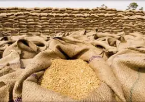 التموين: من المتوقع استيراد مليون طن من القمح حتى نهاية العام المالي الجاري