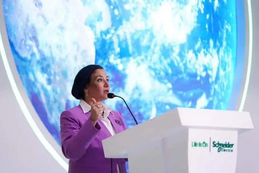 وزيرة البيئة تبحث مع شركة عالمية في مجال الإنترنت فرص دعم العمل المناخى