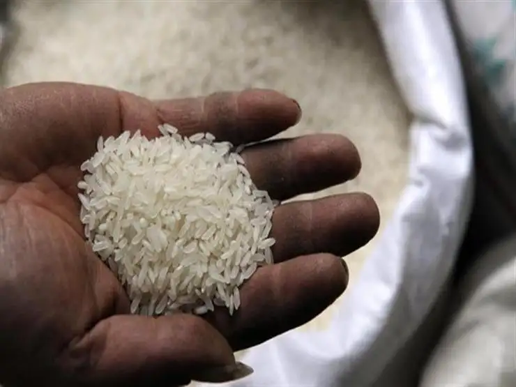 مجلس الوزراء يوافق على تحديد سعر الأرز الأبيض للجمهور لمدة 3 أشهر أخرى