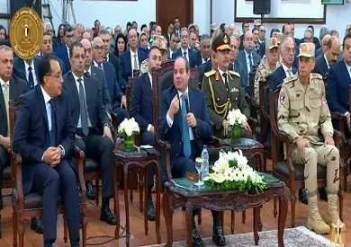 الرئيس السيسي: صناعات معينة لا تملك الدولة ترف المخاطرة بها