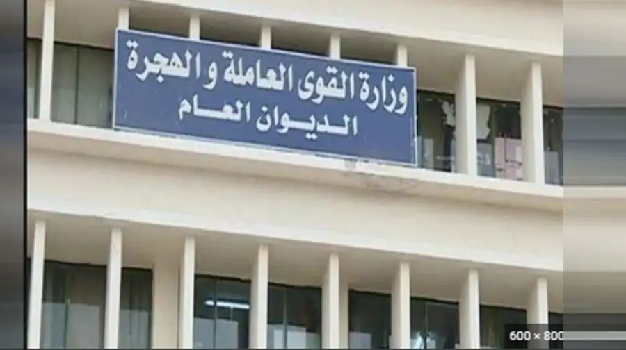 تشغيل 226 ألف شاب.. و214 مليون جنيه دعما للعمالة غيرالمنتظمة