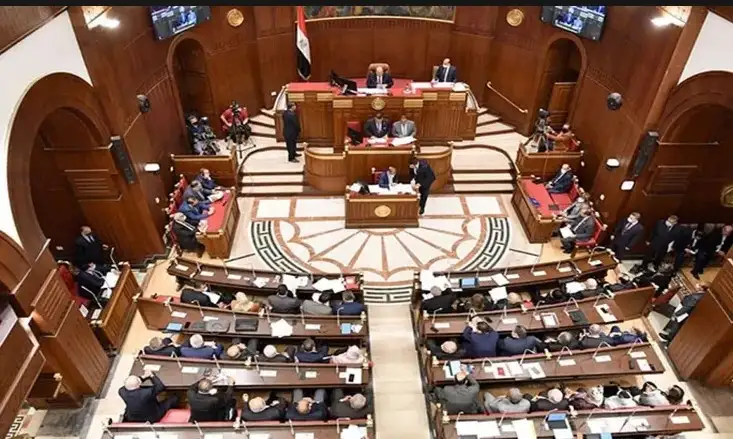 مجلس الشيوخ يستأنف جلساته بمناقشة دراسة لدمج الاقتصاد غير الرسمي