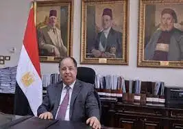 المالية: الاستغناء عن عدد من المستشارين بالوزارات والمصالح الحكومية