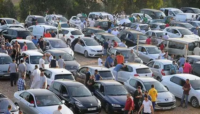 الحكومة والمركزي يوافقان مبدئيا على مد العمل بقانون تيسيرات المصريين بالخارج