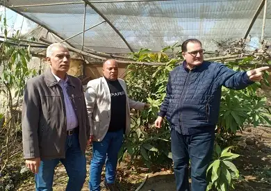 جولة تفقدية لقيادات الزراعة بالمزرعة البحثية بالقصاصين ومشروع النظم الزراعية بالقنطرة