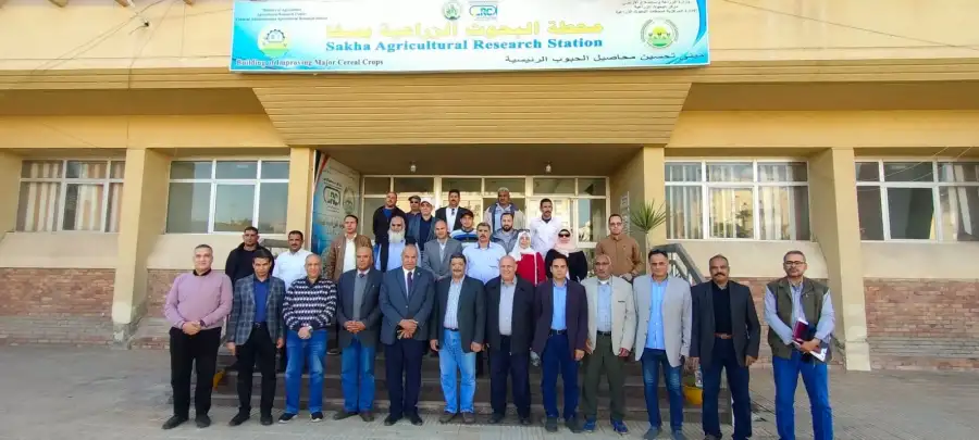 وفد الطاقة الذرية يطلع على الأصناف والسلالات المبشرة للقمح بمحطة بحوث سخا بكفر الشيخ