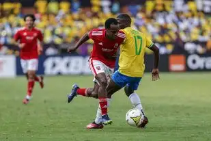 جونسون: الأهلي لم يحترم القدرات الفنية لصن داونز.. واللاعبون خذلوا الشناوي