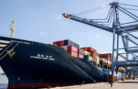 ميناء دمياط يستقبل شحنة من العدس تقدر بحوالي 17.55 ألف طن