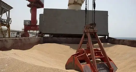 مساعد وزير التموين: ندرس العودة لاتفاقية الحبوب.. وجودنا يهم الجميع (فيديو)