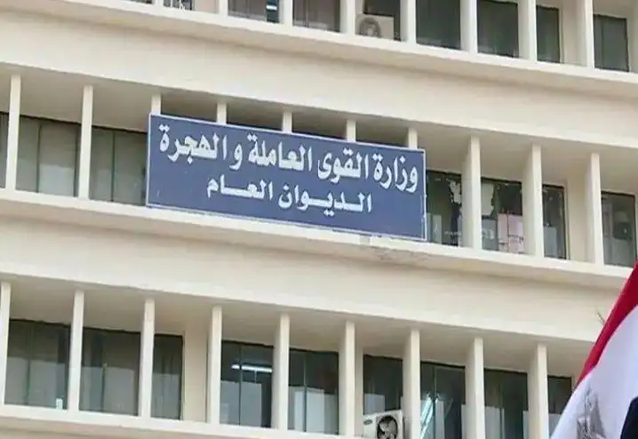 القوى العاملة: توفير 295 فرصة عمل في 7 محافظات