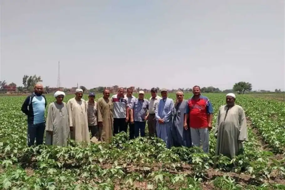 الزراعة: تطوير 226 مركزا إرشاديا لتوعية وخدمة المزارعين بجميع المحافظات