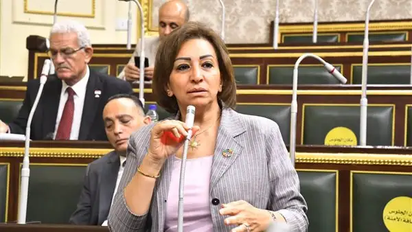 طلب إحاطة برلماني: استضفنا بطولات رياضية أضرت بخزانة الدولة والمال العام