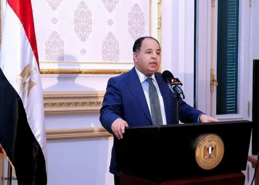 وزير المالية: الاقتصاد المصري عانى من صدمات عالمية ويواجه التحديات بكل قوة