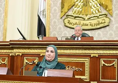 القباج للنواب: وصول الإعفاءات الجمركية لذوى الإعاقة لأكثر من 7 مليارات جنيه