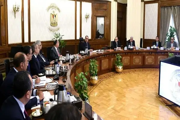 رئيس الوزراء يناقش إجراءات دعم وتحفيز صناعة الدواء