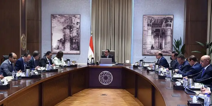 رئيس الوزراء يلتقي عددا من المصريين بالخارج بهدف تأسيس شركة للاستثمار