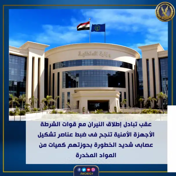 القبض على تشكيل عصابي شديد الخطورة في الدقهلية